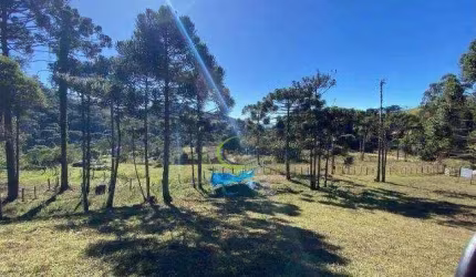 Área à venda, 46000 m² por R$ 950.000,00 - Atras da Pedra - Gonçalves/MG
