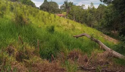 Terreno Pinhalzinho