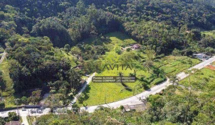 Sítio à venda, 47968 m² por R$ 890.000 - Itoupava Central - Blumenau/SC | La Vita Imóveis