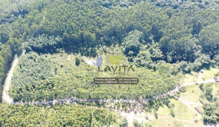 Sítio à venda, 36000 m² por R$ 280.000 - Cedro Alto - Rio dos Cedros/Santa Catarina | La Vita Imóveis