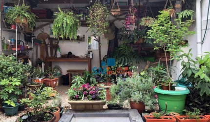 Sobrado com 3 dormitórios à venda, 135 m² por R$ 750.000,00 - Vila Prudente (Zona Leste) - São Paulo/SP