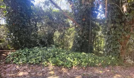 Terreno à venda, 600 m² por R$ 175.000,00 - Alvarenga - São Bernardo do Campo/SP