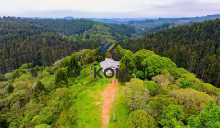 PROPRIEDADE RURAL  PARA VENDA EM MANDIRITUBA- Rural Property in Mandirituba-PR