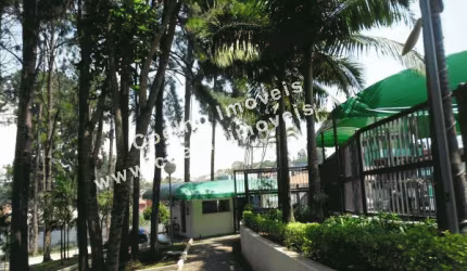 Apartamento Residencial à venda, Cidade Dutra, São Paulo - AP3960.