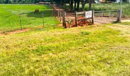 Terreno a venda com 1.005 m2   Estancia Sao Jose   Estrada de Assis Platina