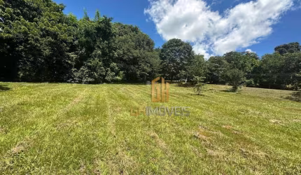 Terreno à venda, 1965 m² por R$ 1.850.000,00 - Residencial Aldeia do Vale - Goiânia/GO