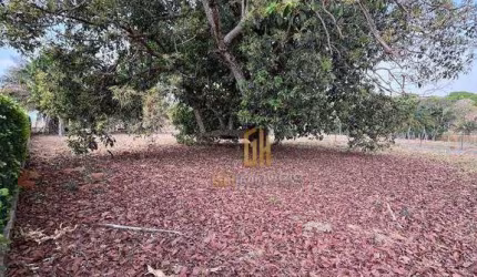 Terreno à venda, 1246 m² por R$ 370.000,00 - Centro - Guapó/GO