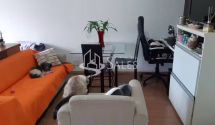 Kitnet reformada com uma vaga de garagem e repleta de armários embutidos.