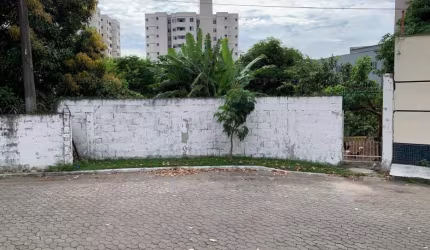 TerrenoCentro