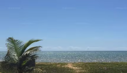 Casa 3 quartos em Ponta Da Fruta