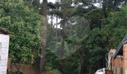 Terreno à venda em Pinheirinho - PR