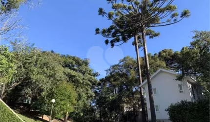 Terreno à venda em Santa Felicidade - PR