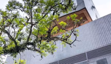 Sala comercial à venda na Rua Casemiro de Abreu, 367, Rio Branco, Porto Alegre por R$ 400.000