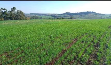 Sítio a Venda  área total de 15 Alqueires Região de Abatiá  PR.