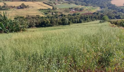 Sitio ou Chácara a Venda  área de 1,5 Alqueires   1,5 Km do asfalto .