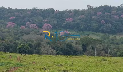 Sitio a Venda  com área total de 80.000M² região de Jataizinho PR
