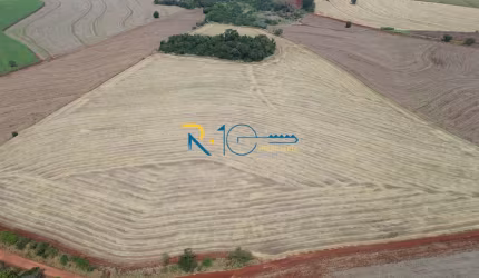 Sitio a Venda  área 10 alqueires     próximo a Rodovia PR 445 Londrina PR