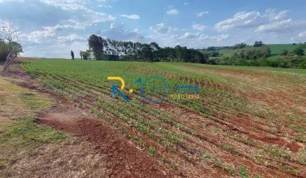 Sitio  a Venda área de 2 alqueires na Rodovia  topografia  plana  com rio.
