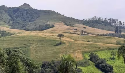Fazenda a Venda  Área de 60 Alqueires Município de Reserva