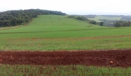 Sítio a Venda área de 17,5 Alqueires, Arrendada  plantando 10 Alq Assaí PR