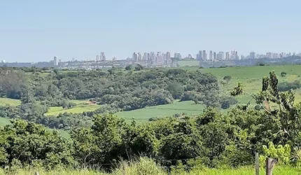 Sitio a Venda , 2,5 Alqueires  , sem benfeitorias 7 km de Londrina PR.