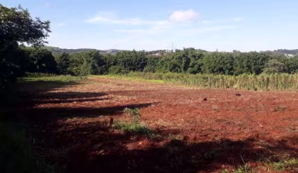 Chácara a Venda  com uma área de 20.166 M², escriturada ,ao lado da PR 445.