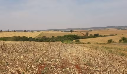 Sitio a Venda  com uma área de 10 Alqueires  na Região de Jataizinho Paraná