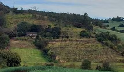 Sítio a Venda área total 6 Alqueires   300 Metros do asfalto Assaí Pr