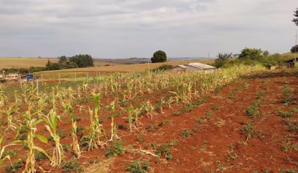 Chácara a Venda  1080 M²  Jataizinho PR