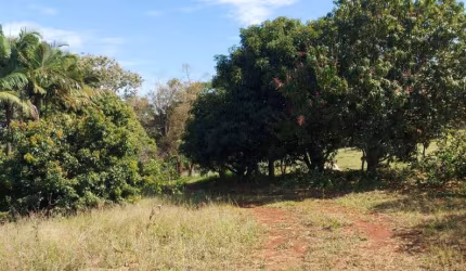 Chácara a Venda  área de 15.500 M²  escriturada  Região de Irerê