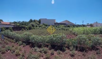 Lote à venda, Jardim Dallas - Palotina/PR