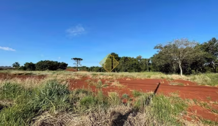 Terreno para aluguel, Tocantins - Toledo/PR