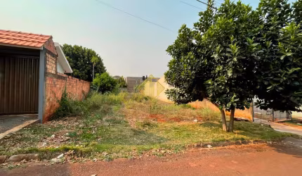 Terreno à venda, centro - Palotina/PR