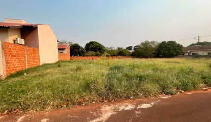 Terreno à venda, centro - Palotina/PR