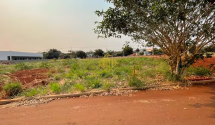 Lote UFPR Jardim Terra Nostra, 3 quadras da UFPR PALOTINA.