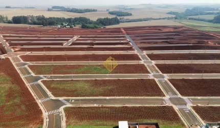Terreno à venda, Cancelli - Cascavel/PR