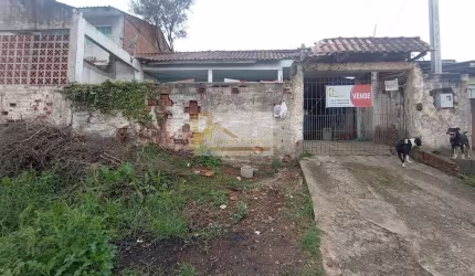 Terreno para Venda em Colombo, São Dimas