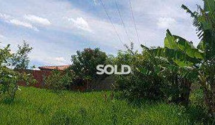 Chácara com 1 dormitório à venda, 4000 m² por R$ 318.000,00 - Jardim Palestina - Franca/SP
