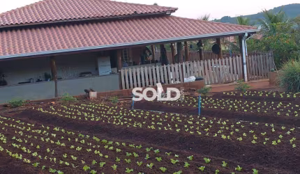 Chácara com 3 dormitórios à venda, 10000 m² por R$ 0,01 - Zona Rural - Patrocínio Paulista/SP