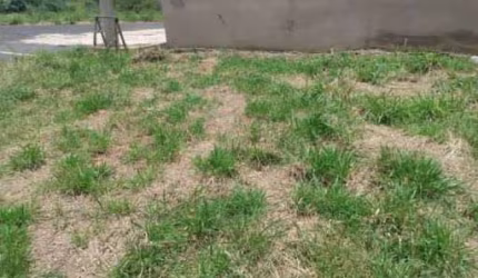 Terreno à venda, 200 m² por R$ 160.000,00 - Centro - Cristais Paulista/SP