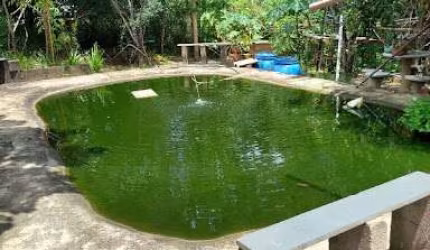 Chácara com 1 dormitório à venda, 1679 m² por R$ 403.000,00 - Zona Rural - Franca/SP