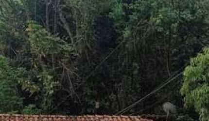 Chácara com 2 dormitórios à venda, 5000 m² por R$ 750.000,00 - Zona Rural - Patrocínio Paulista/SP