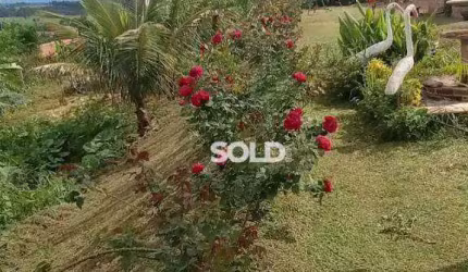 Chácara  à venda, 1000 m² por R$ 230.000 -  patrocínio paulista