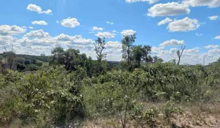Terreno à venda, 2500 m² por R$ 100.000,00 - Serra Do Salitre - Serra do Salitre/MG