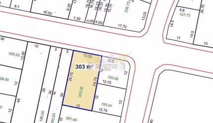 Terreno Residencial à Venda, 303m² - Vila Floresta, Santo André/SP.