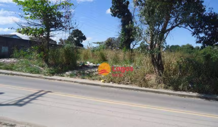 Terreno plano, muito perto da BR101, 5.000 m², R$ 900.000,00 - Santa Luzia - São Gonçalo/RJ