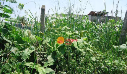 Terreno à venda, 360 m² por R$ 900.000,00- Itaipu - Niterói/RJ