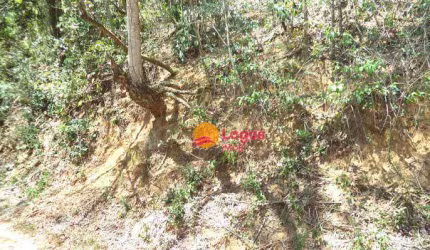 Terreno à venda, 494 m² por R$ 130.000,00 - Engenho do Mato - Niterói/RJ