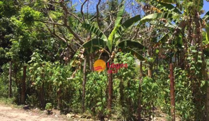 Terreno, 471 m² por R$ 450.000,00 - Serra Grande - Niterói/RJ