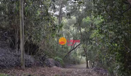 Terreno em local bastante arborizado, ideal para loteamento ou condomínio horizontal, 202.000 m², R$ 1.780.000,00 - Vila Progresso - Niterói/RJ